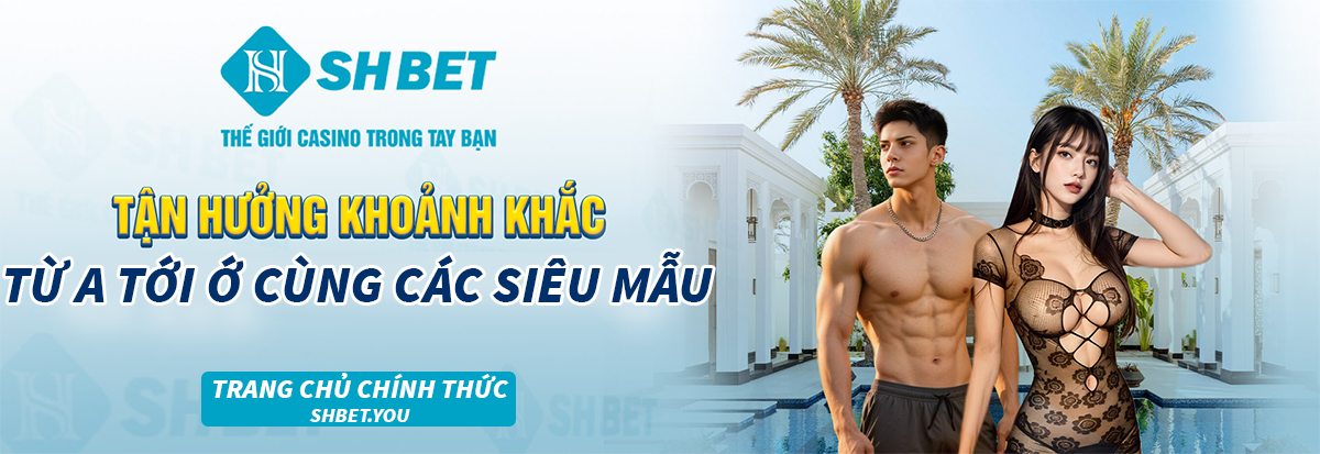 banner shbet