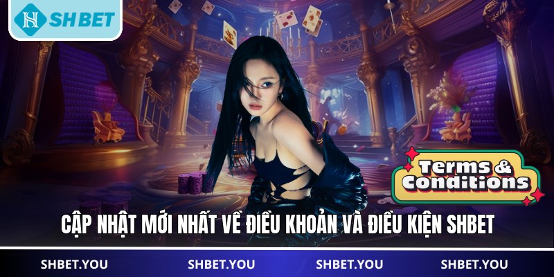 điều khoản và điều kiện