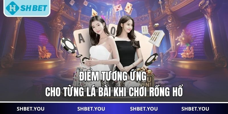 rồng hổ