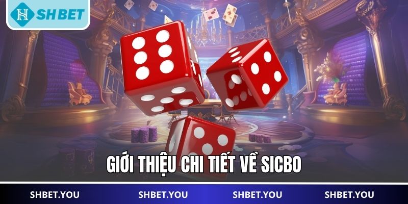 sicbo