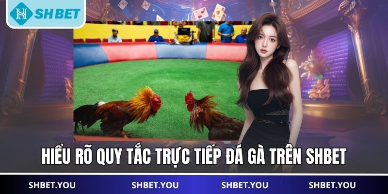 trực tiếp đá gà