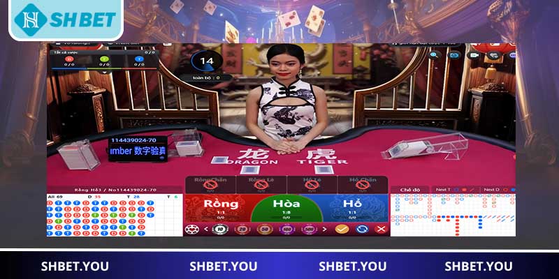 rồng hổ