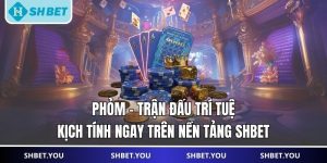bài phỏm