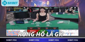 rồng hổ