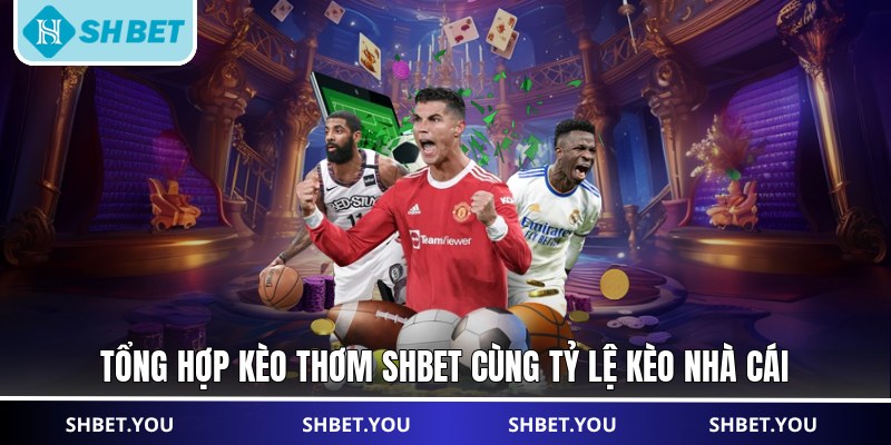 tỷ lệ kèo nhà cái