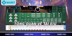 tài xỉu