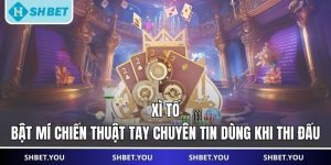 xì tố